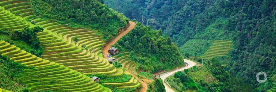 Sustainable economy: green growth in Viet Nam Sustainable economy: green growth in Viet Nam