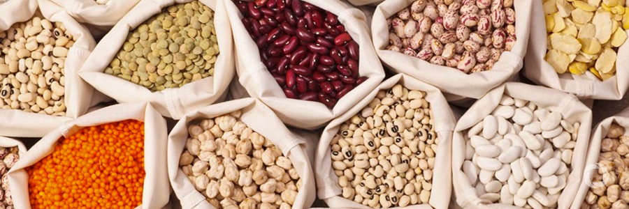New UN resolutions sharpen focus on plant health, food safety and pulses New UN resolutions sharpen focus on plant health, food safety and pulses