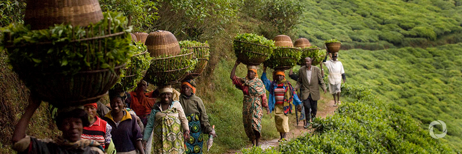IFC Supports I&M Bank (Rwanda) Plc. to grow small business access to finance IFC Supports I&M Bank (Rwanda) Plc. to grow small business access to finance