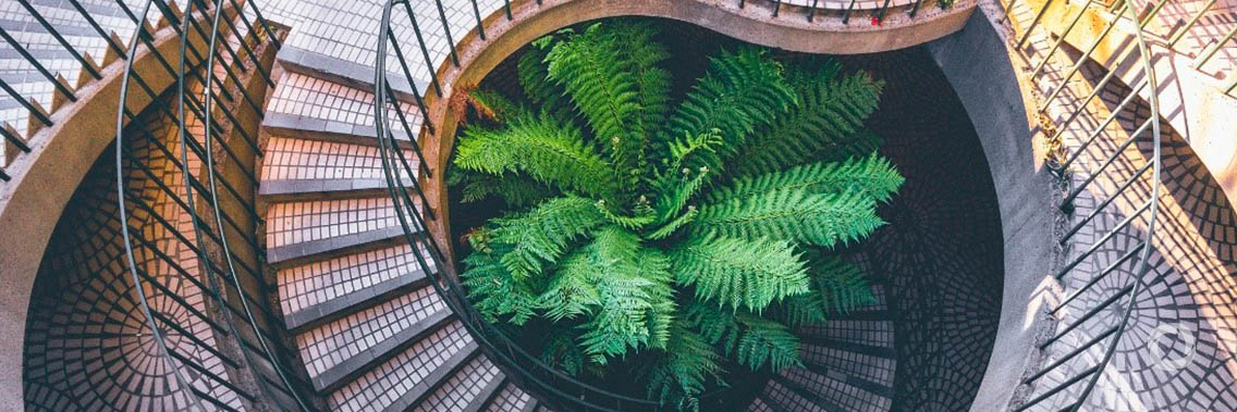 EU bank steps up efforts to fight climate change and foster innovation EU bank steps up efforts to fight climate change and foster innovation