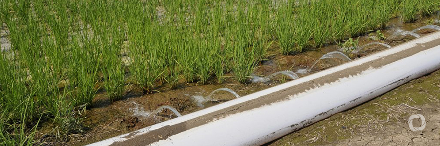 A new irrigation canal brings hope to rural Afghans A new irrigation canal brings hope to rural Afghans