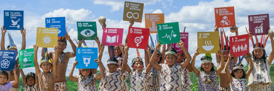 The SDGs are what the world needs. Will they be what the world gets? The SDGs are what the world needs. Will they be what the world gets?