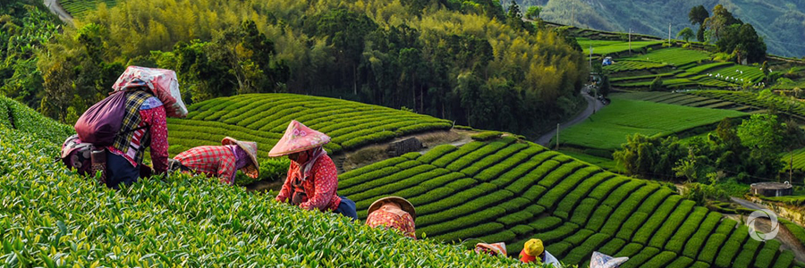5 climate actions we can all take for a #ZeroHunger World 5 climate actions we can all take for a #ZeroHunger World