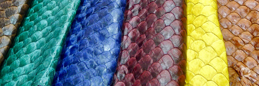 Turning fish into fashion, promoting Blue Fashion to support livelihoods in Kenya Turning fish into fashion, promoting Blue Fashion to support livelihoods in Kenya