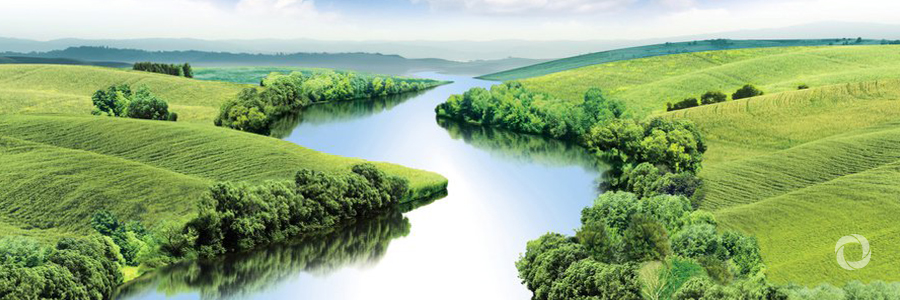 New Rewilding Europe Capital loans to enable transformative rewilding projects in Finland and Portugal New Rewilding Europe Capital loans to enable transformative rewilding projects in Finland and Portugal