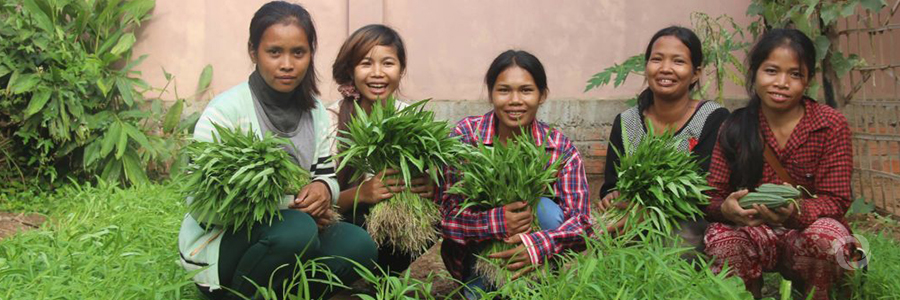 Seeding the future: school-children in Cambodia pave way for climate adaptation