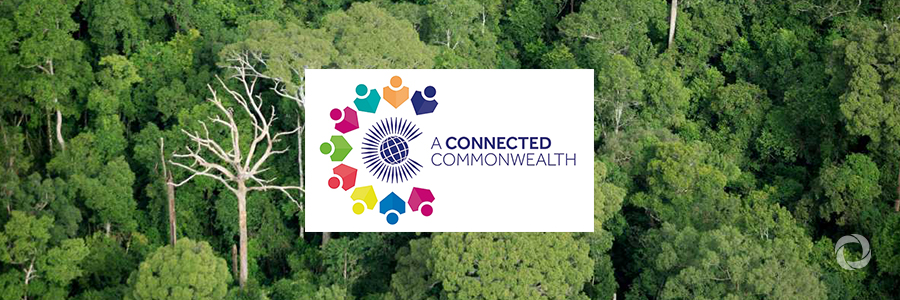 ‘A Connected Commonwealth’: the theme for 2019