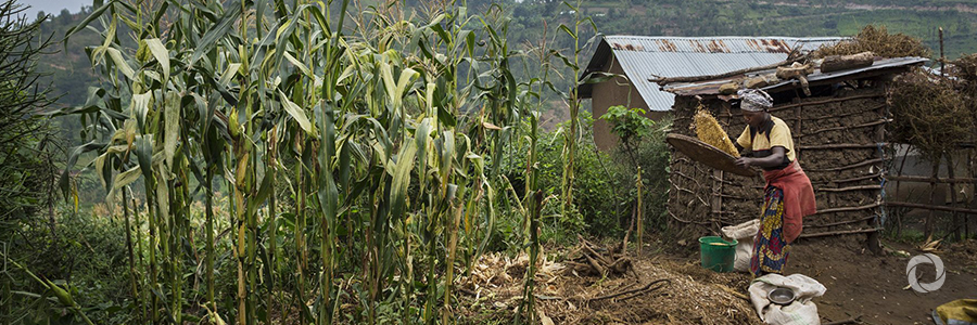 In Africa, investing in rural development and agriculture will offer rural youth an alternative to migration
