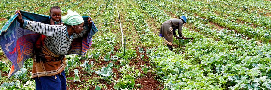 African Development Bank and ICRC join forces to accelerate economic resilience in fragile contexts African Development Bank and ICRC join forces to accelerate economic resilience in fragile contexts