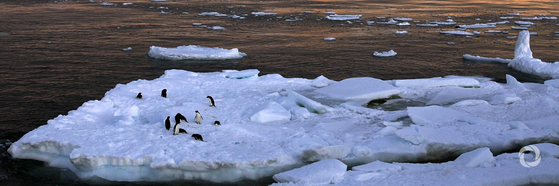 Greenland's ice melting rate reaching 'tipping point' Greenland's ice melting rate reaching 'tipping point'