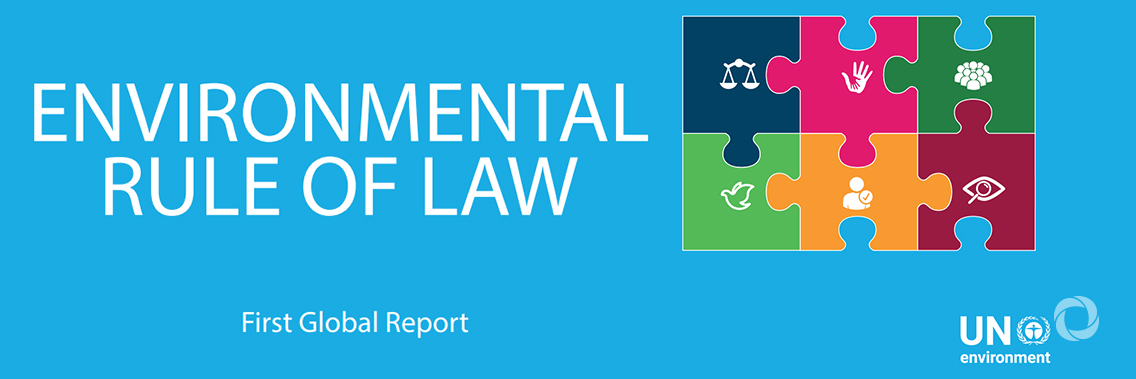 Dramatic growth in laws to protect environment, but widespread failure to enforce, finds report Dramatic growth in laws to protect environment, but widespread failure to enforce, finds report