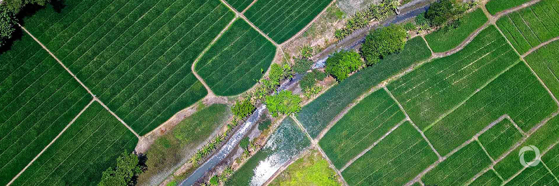 5 FAO projects helping food producers adapt to the changing climate 5 FAO projects helping food producers adapt to the changing climate