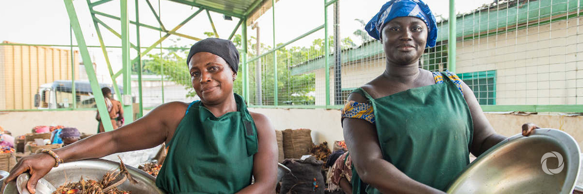 Sustainable cultivation and access to new markets: farmers in Ghana benefit from training Sustainable cultivation and access to new markets: farmers in Ghana benefit from training