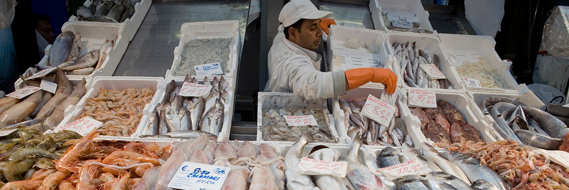 FAO Food Price Index rises in January FAO Food Price Index rises in January
