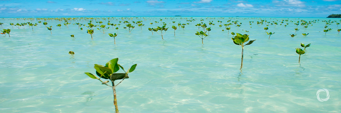 Innovative financing solution aimed at climate change adaptation