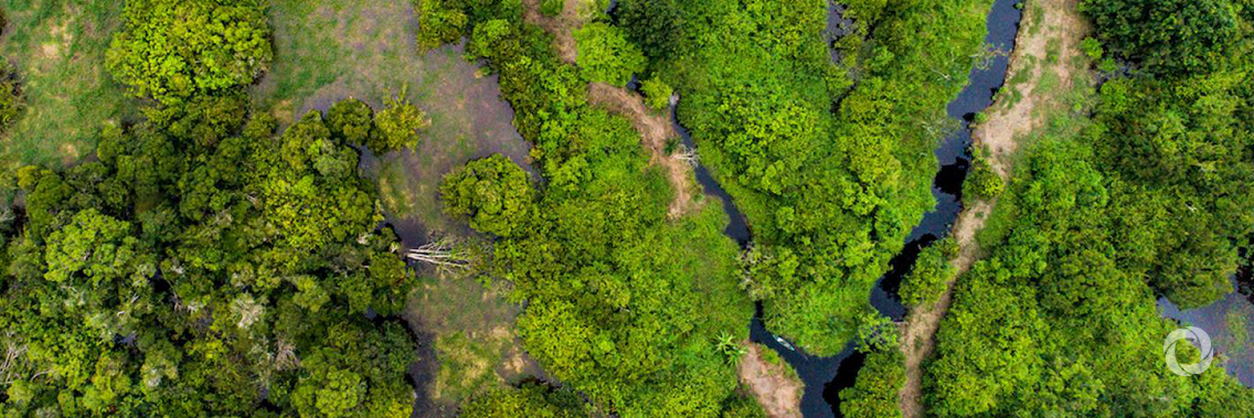 Germany announces support for Peatlands: A natural solution for climate action Germany announces support for Peatlands: A natural solution for climate action