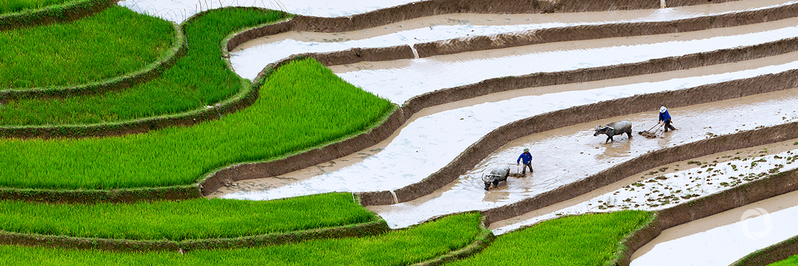 Achieving sustainable agriculture requires an integrated approach Achieving sustainable agriculture requires an integrated approach