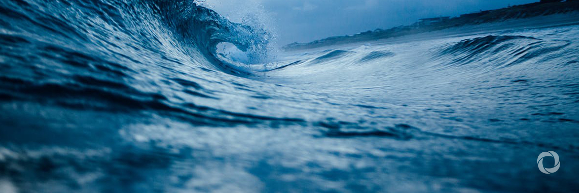 WMO hosts oceans meetings WMO hosts oceans meetings