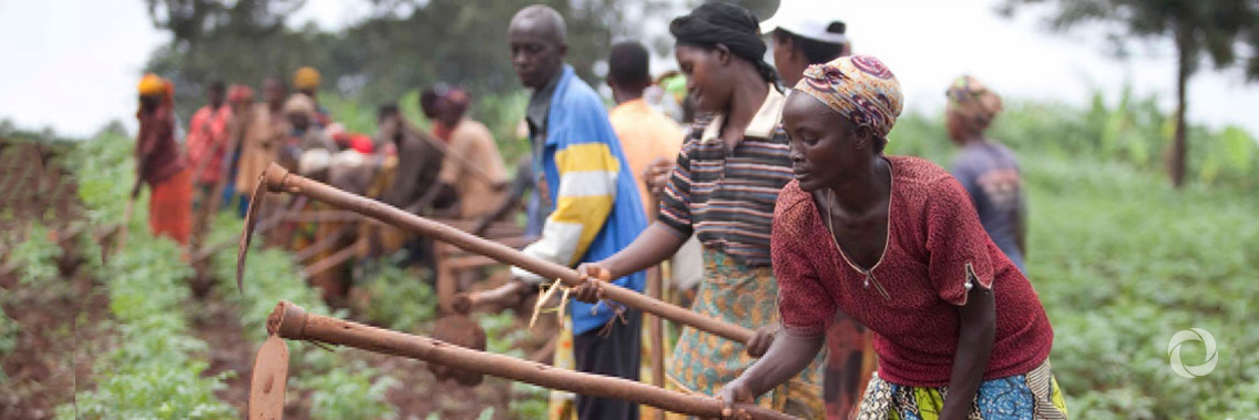 In 2019, FAO aims to provide 32 million people with livelihoods support to keep them on their feet In 2019, FAO aims to provide 32 million people with livelihoods support to keep them on their feet