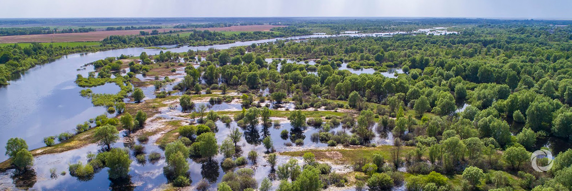 Over 350,000 Surinamese to benefit from flood risk management Over 350,000 Surinamese to benefit from flood risk management