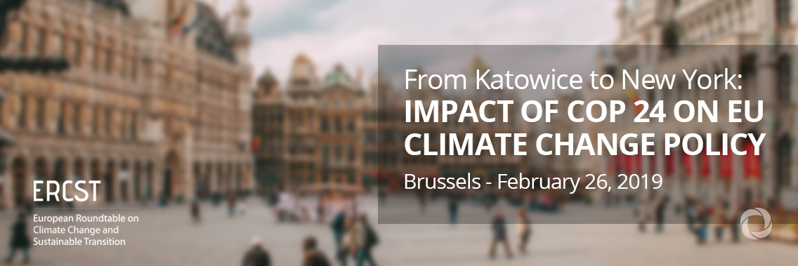 From Katowice to New York: Impact of COP24 on EU climate change policy