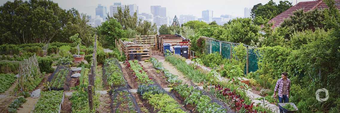 Towards a “Great Food Transformation” Towards a “Great Food Transformation”