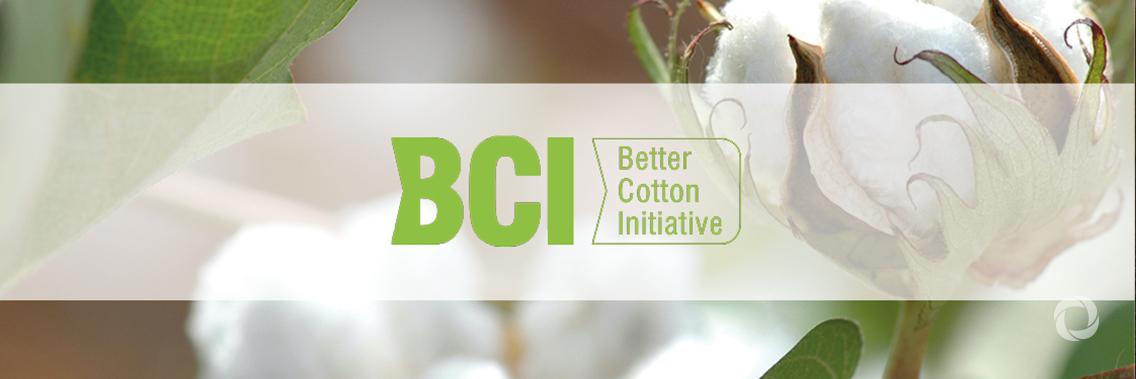 UNIDO to pilot Better Cotton Initiative in Egypt towards sustainable cotton production UNIDO to pilot Better Cotton Initiative in Egypt towards sustainable cotton production