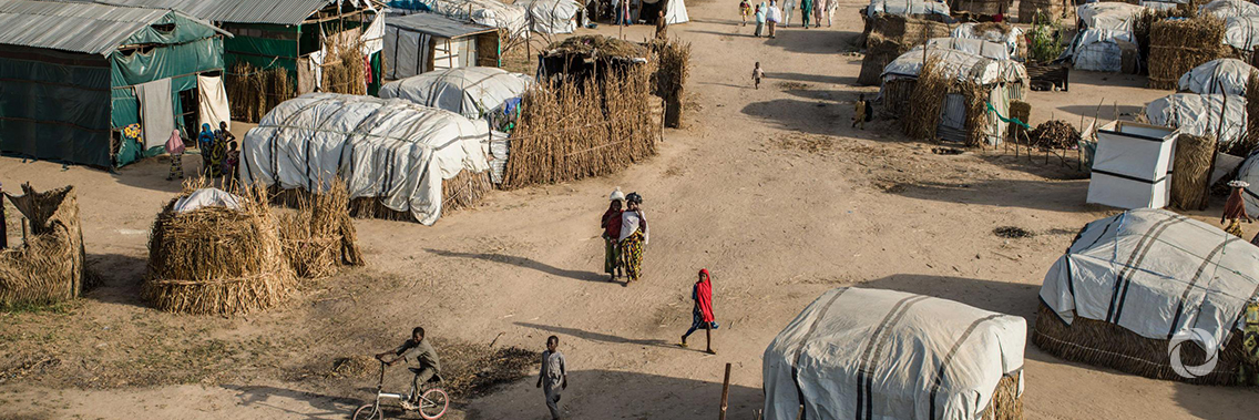Lake Chad: Humanitarian emergency