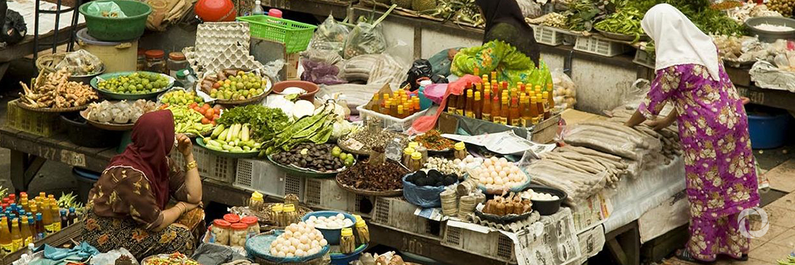 UN agriculture agency chief calls on world’s mayors to make ‘global commitments local realities’