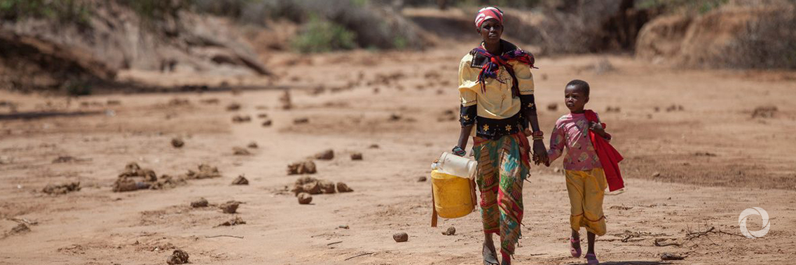 Urgent drought response launched in Somaliland and Kenya Urgent drought response launched in Somaliland and Kenya