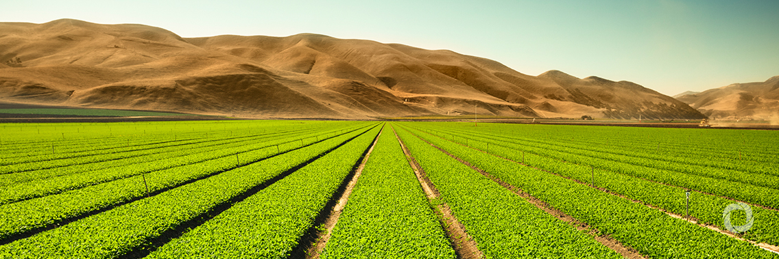 IFAD and Egypt to promote resilience in desert environments with a US$81 million investment IFAD and Egypt to promote resilience in desert environments with a US$81 million investment