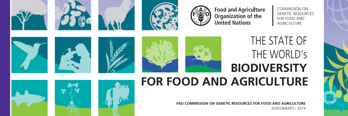 The biodiversity that is crucial for our food and agriculture is disappearing by the day The biodiversity that is crucial for our food and agriculture is disappearing by the day