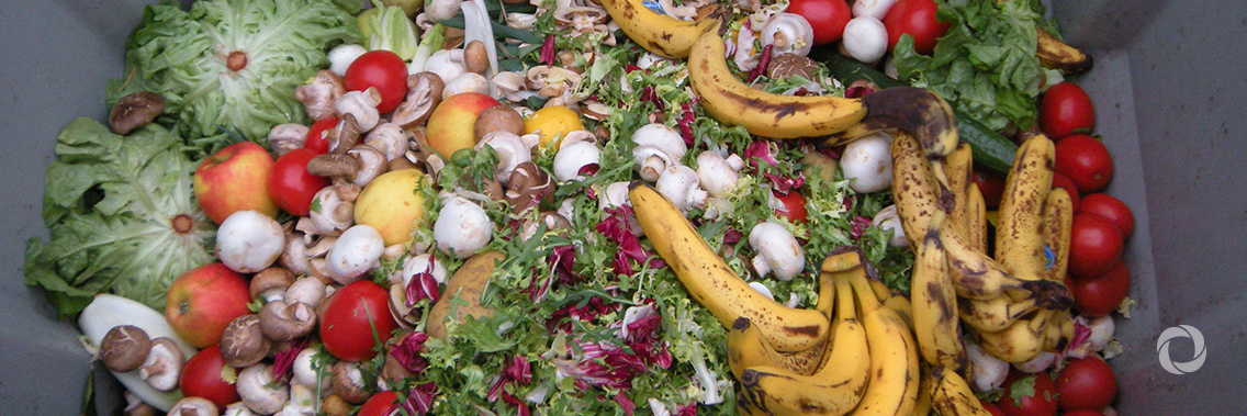 APEC: We waste too much food