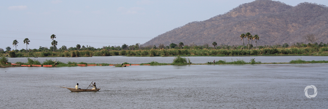 Restoring Malawi’s shire river basin