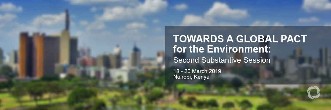 Towards a Global Pact for the Environment: Second Substantive Session