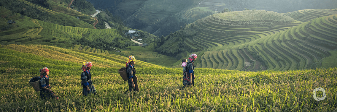 Fairtrade secures funding from the EU to advance the Sustainable Development Goals
