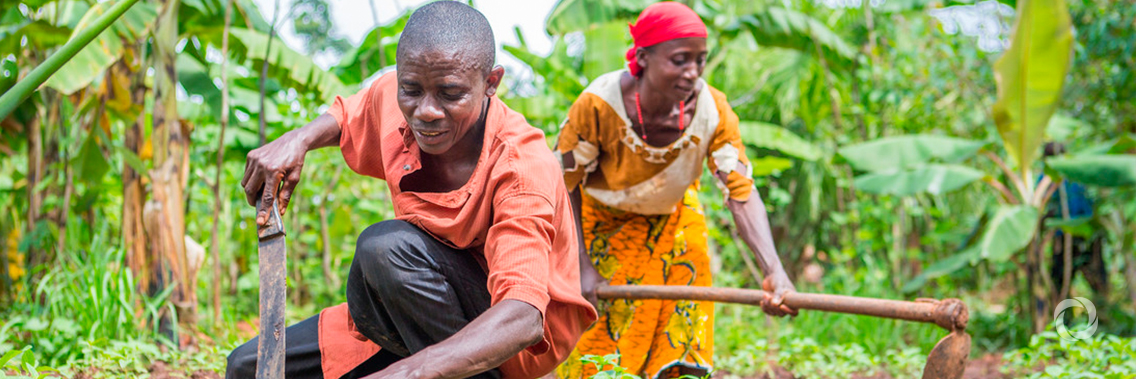 New project to boost food and nutrition security and rural incomes in Burundi New project to boost food and nutrition security and rural incomes in Burundi