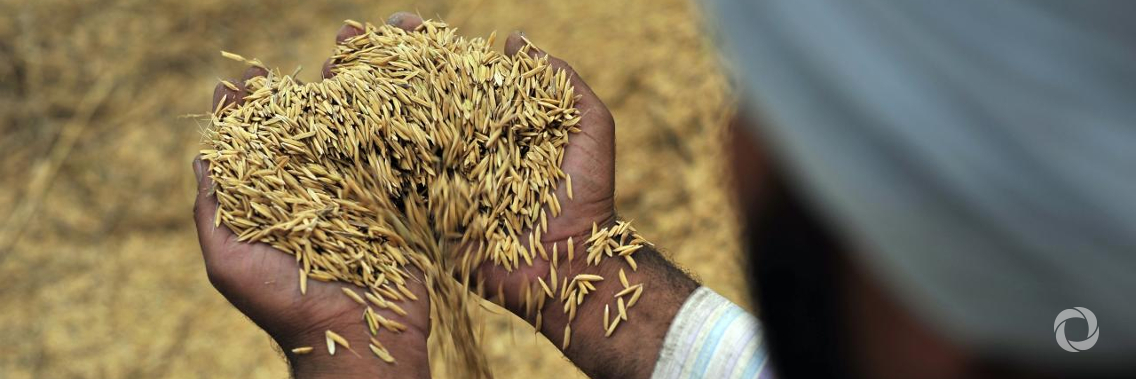 EU provides €5.9 million for FAO-led efforts to strengthen Yemen's capacity to monitor drivers of food insecurity and hunger EU provides €5.9 million for FAO-led efforts to strengthen Yemen's capacity to monitor drivers of food insecurity and hunger