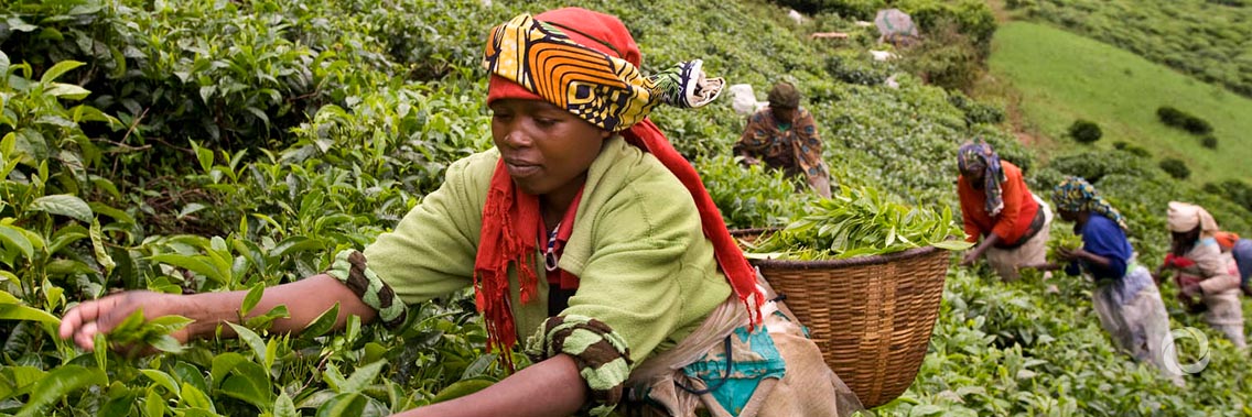 Sierra Leone and IFAD to boost food security and incomes in rural areas Sierra Leone and IFAD to boost food security and incomes in rural areas