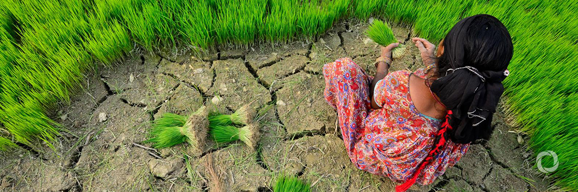 5 reasons why climate action needs women 5 reasons why climate action needs women
