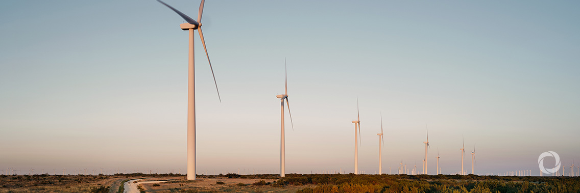 New EBRD-backed wind farm gets rolling in Turkey