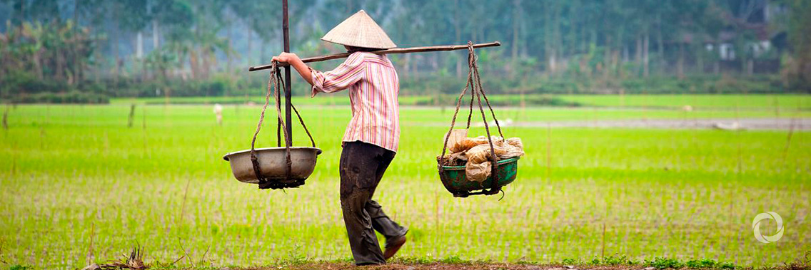 South-South and Triangular Cooperation can deliver rural solutions, reduce poverty and hunger South-South and Triangular Cooperation can deliver rural solutions, reduce poverty and hunger