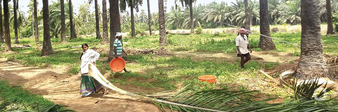 World Bank and Government of India sign $250 million agreement to boost rural incomes across 13 states in India