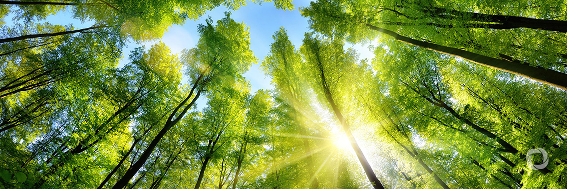 UN Environment Acting Executive Director issues forceful appeal ahead of UN Environment Assembly