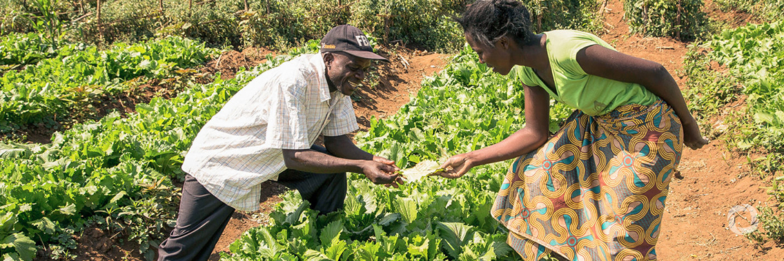 World Bank and Zambia renew partnership to promote jobs, invest in people