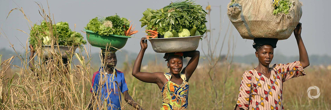 Central African Republic and IFAD to promote smallholder farmers’ resilience to climate change Central African Republic and IFAD to promote smallholder farmers’ resilience to climate change