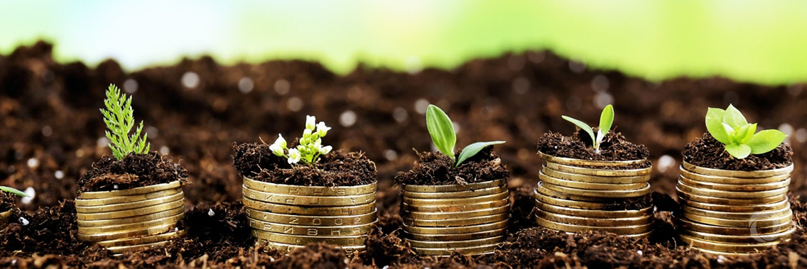 CEB approves financing for new social projects CEB approves financing for new social projects