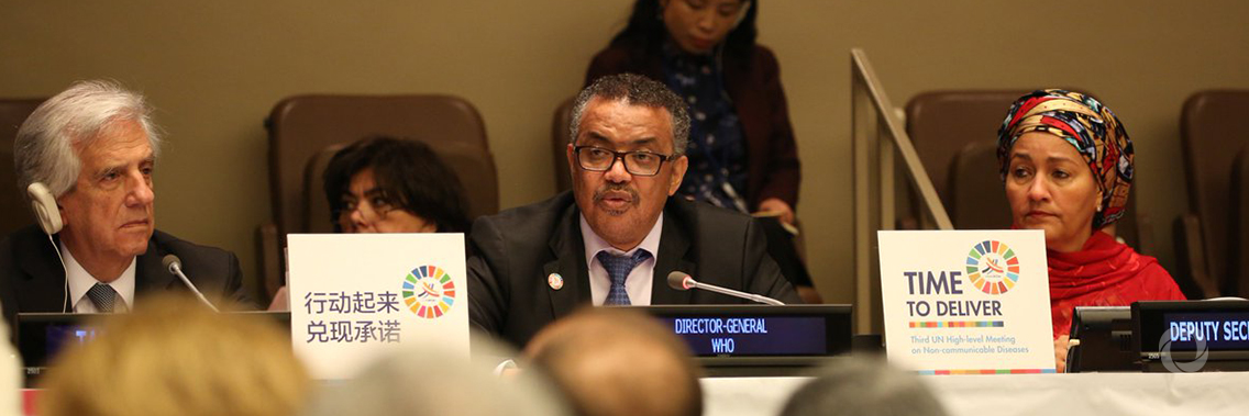 WHO European High-level Conference on Noncommunicable Diseases