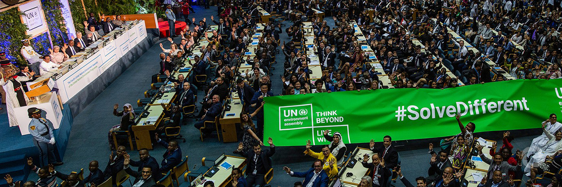 World pledges to protect polluted, degraded planet as it adopts blueprint for more sustainable future