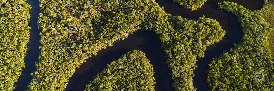 United States and Brazil to partner in first-ever investment fund for the Brazilian Amazon United States and Brazil to partner in first-ever investment fund for the Brazilian Amazon